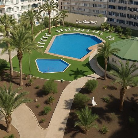 Residence Los Molinos Maspalomas  Exteriér fotografie